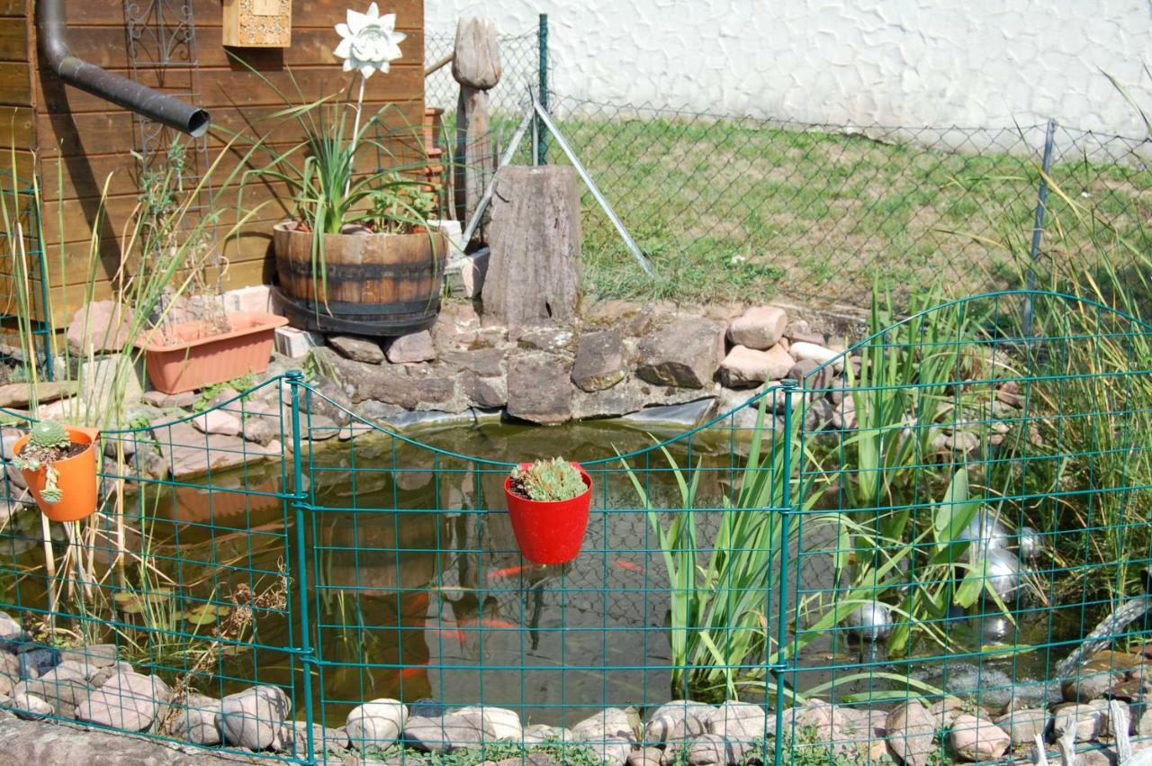Ferienwohnung Grosso Grafendorf  Luaran gambar